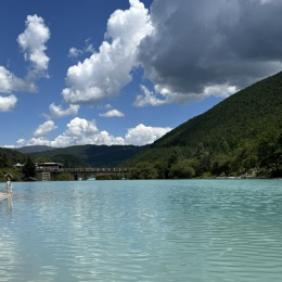 LongPort - 吃鱼的猫