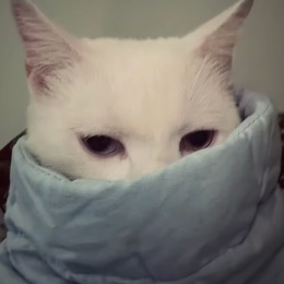 LongPort - last -order