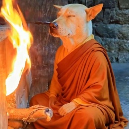 LongPort - 悠悠的户晨风