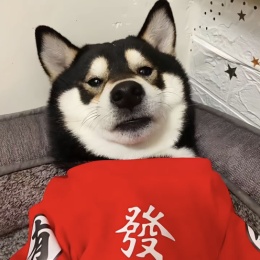 LongPort - 西玛格男人