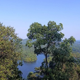 Longbridge - 真的特没谱啊