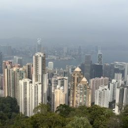 LongPort - 不红不卖