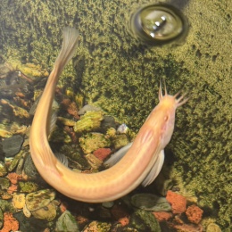 LongPort - “坤位”持仓