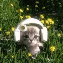 LongPort - 从新开始