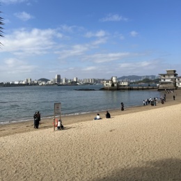 LongPort - 大雁南飞666