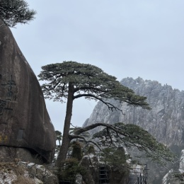 LongPort - 炒菜粘锅