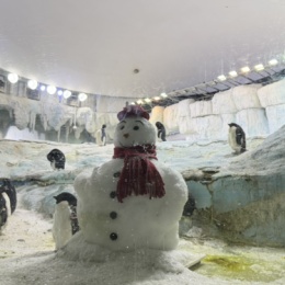 LongPort - jinxliang