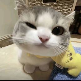 LongPort - 夏风吹过少年城