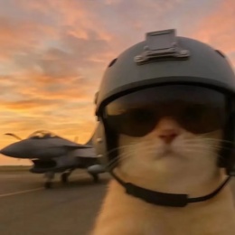 LongPort - Viva La Vida