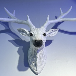 LongPort - 欧文价投