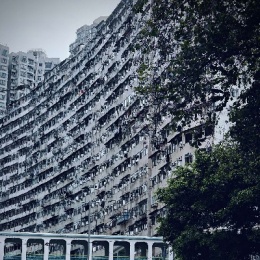 LongPort - 一顆海膽哥