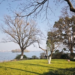 LongPort - 高桥李依李