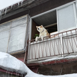 LongPort - Sarielwind