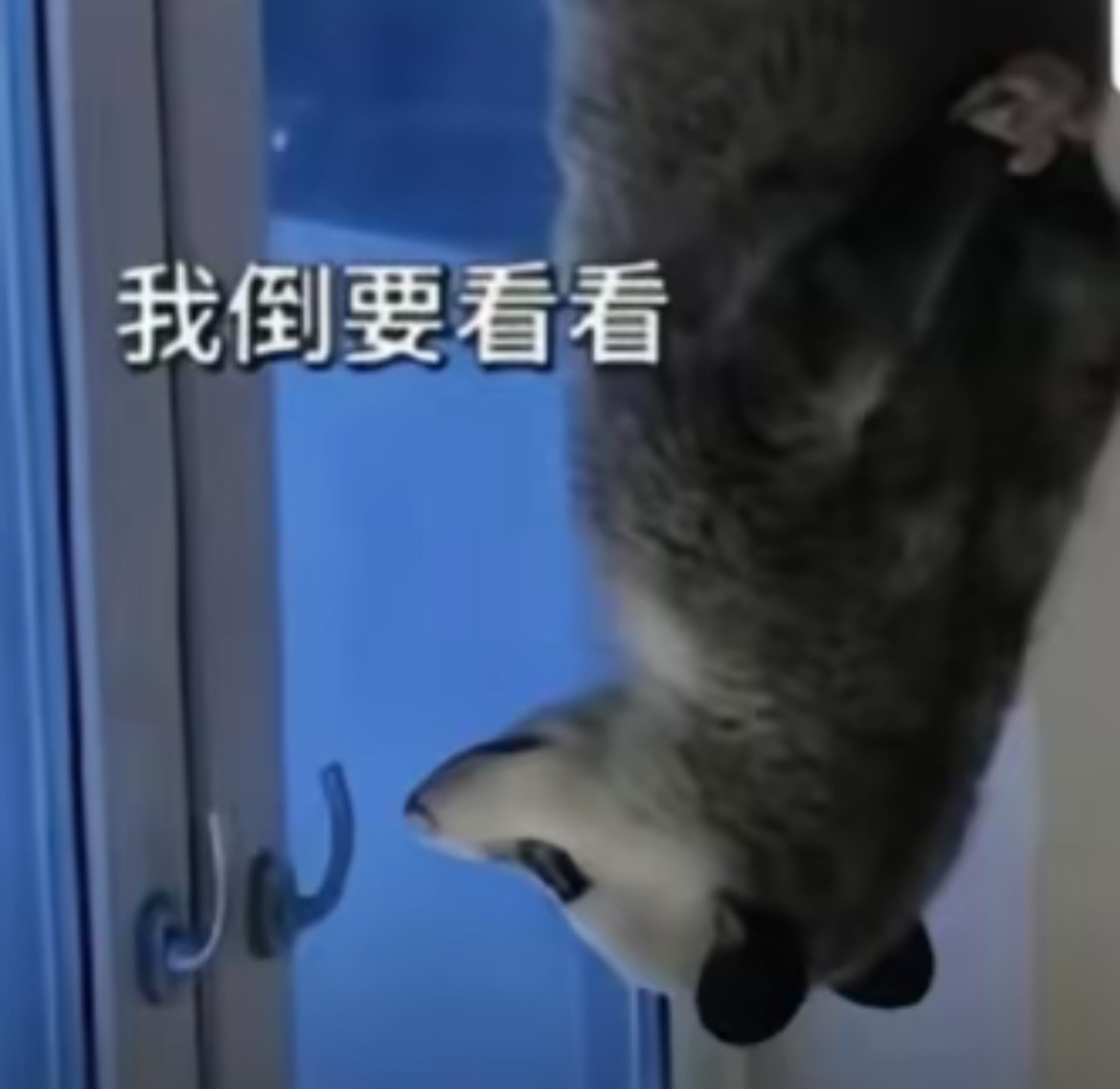图片 1，共 1 张