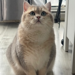 LongPort - 独一无二小刘