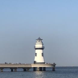 LongPort - 筝有风豚有海