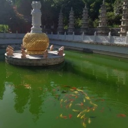 LongPort - 财源滚滚来我家