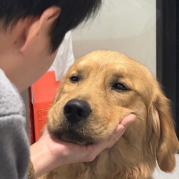 LongPort - 每月10%目标