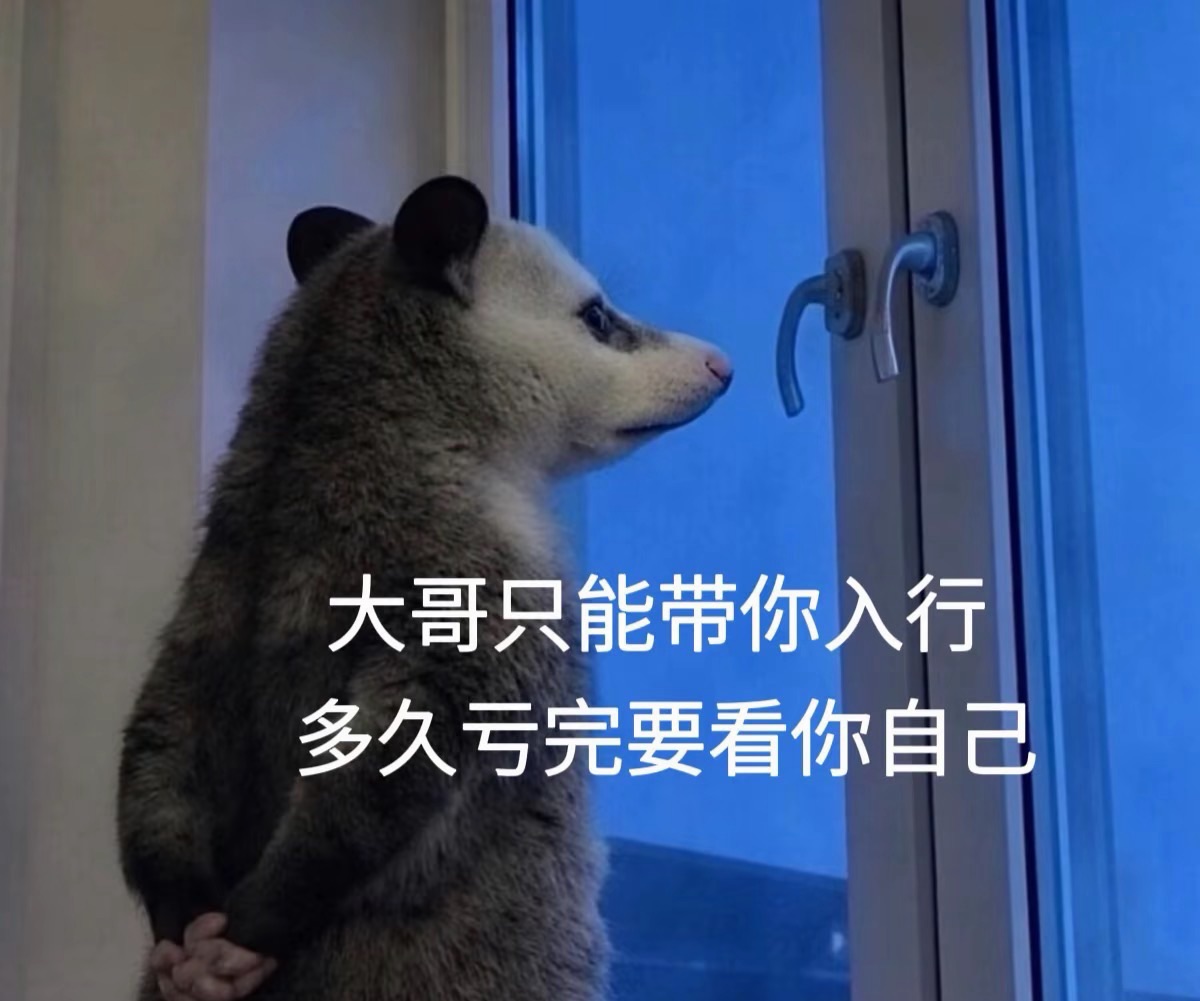 图片 1,共 1 张