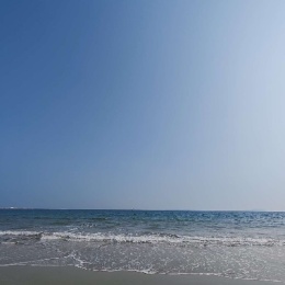 LongPort - 新用户_batrEL