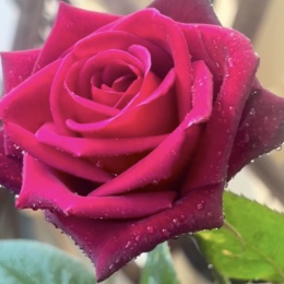 LongPort - 阿二每天都要开心呀