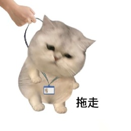 最差的交易员
