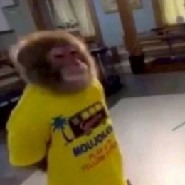 LongPort - 徐小沐