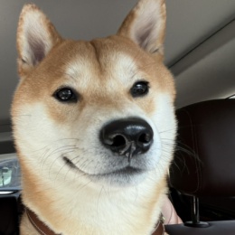 LongPort - 北德交易员