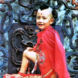 LongPort - 张梭哈