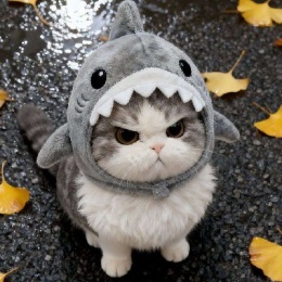 LongPort - 步林达