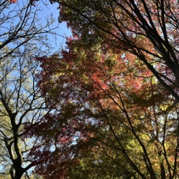 LongPort - 加油啊！發