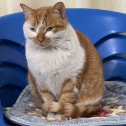 LongPort - 不甘平凡_