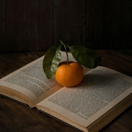 LongPort - 小满369