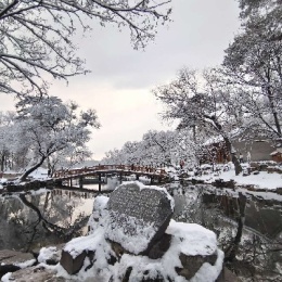 LongPort - 逍遥游、