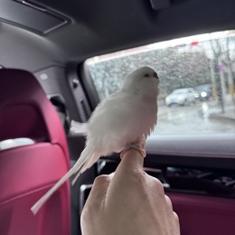 LongPort - 2万刀冲刺100万刀