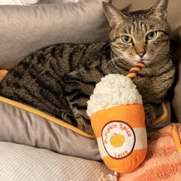 LongPort - 靜靜的看著