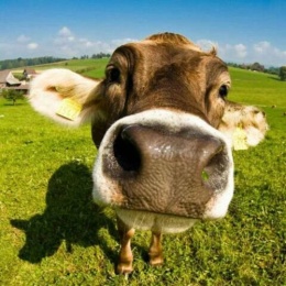 LongPort - 这次定要拿住你