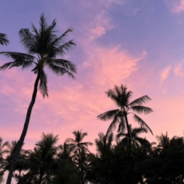 LongPort - Jeffsir Eat Cash