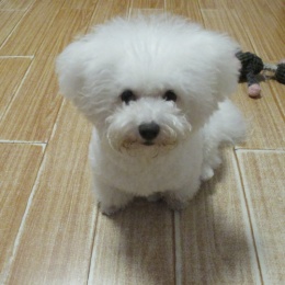 LongPort - 乐乐要幸福