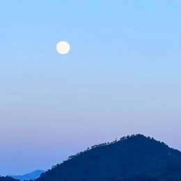 LongPort - 外方内圆