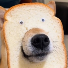 LongPort - KennyWong