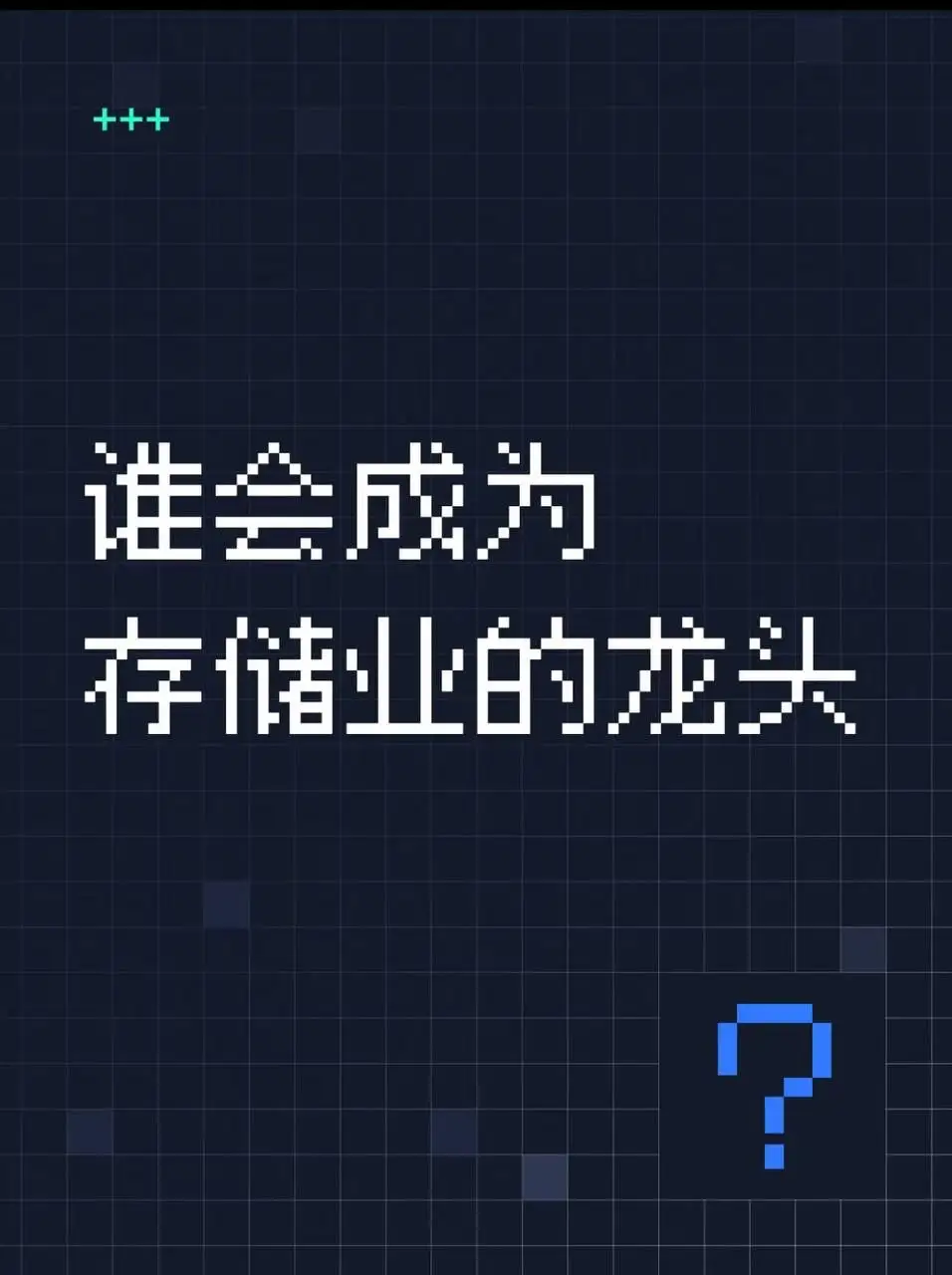 +++ 谁会成为 存储业的龙头