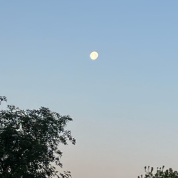 Longbridge - NewUser_HqG84r