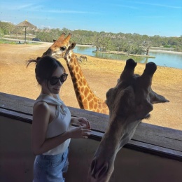 LongPort - 姐不吃香菜