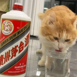 LongPort - 乔克叔叔！