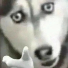 LongPort - Valdimier