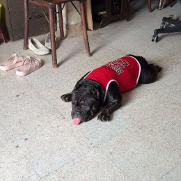 LongPort - wackywong