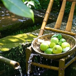 LongPort - 橘子汽水 Lemon