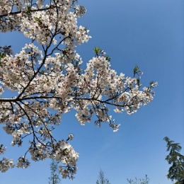 LongPort - 显化资产九位数