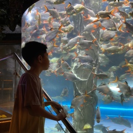 LongPort - 国王的鬼畜投资